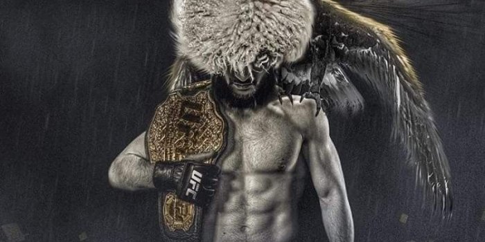 800x998 Khabib Nurmagomedov #ufc #art #khabibnurmagomedov #fight #mma #champion |  Ufc poster, Ufc, Animation art character design