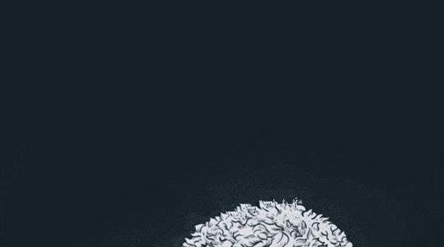 630x1280 Khabib nurmagomedov wallpaper by Amolium - Download on ZEDGE™ | 75e4