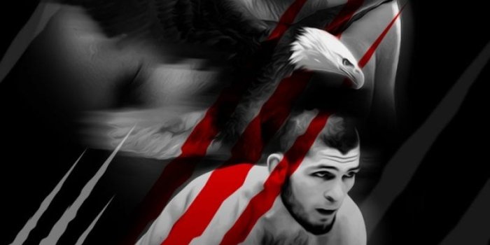 800x1422 Khabib Wallpaper - EnJpg