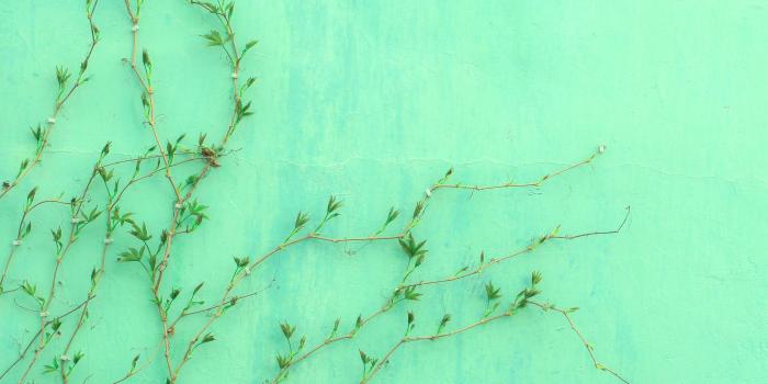 4993x2926 Download Mint Green Wall Wallpaper | Wallpapers.com