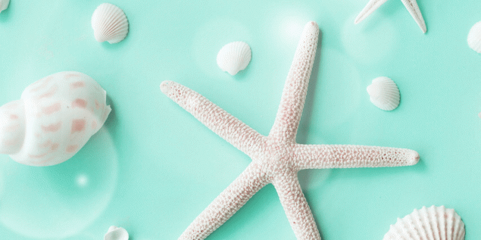 854x1590 Background Mint Green Wallpaper - EnWallpaper