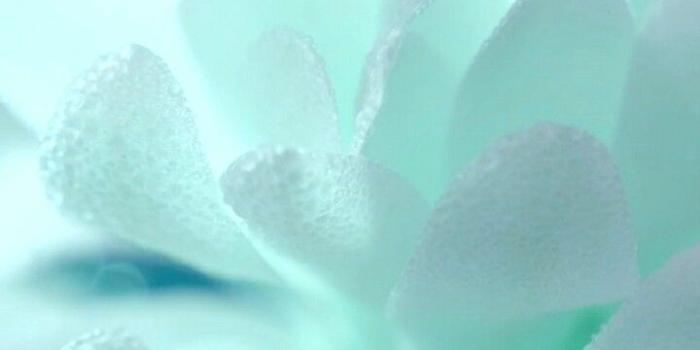 720x1280 Mint Green + pink Aesthetic — The best mint green wallpapers I could find.
