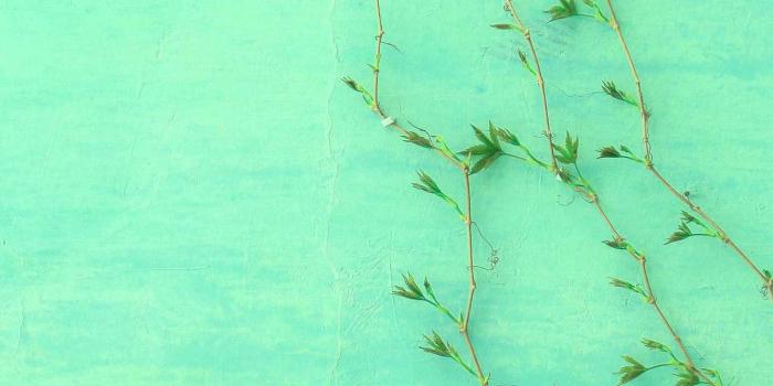 1440x2560 Background Mint Green Wallpaper - EnWallpaper