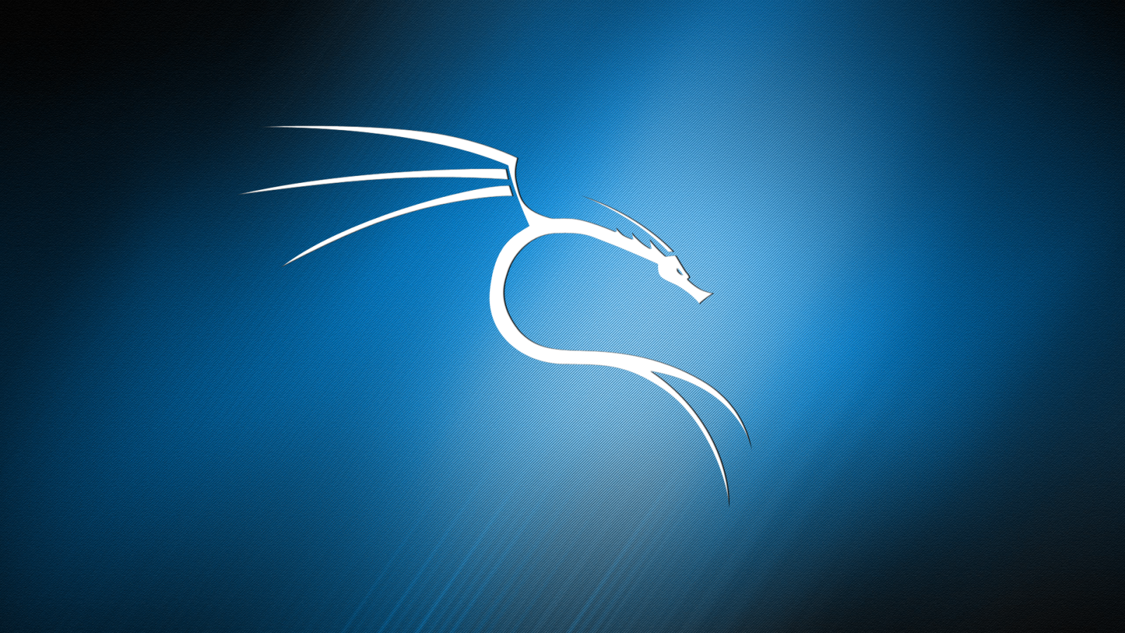 1920x1080 Kali Linux Windows Wallpapers - Top Free Kali Linux Windows Backgrounds -  WallpaperAccess