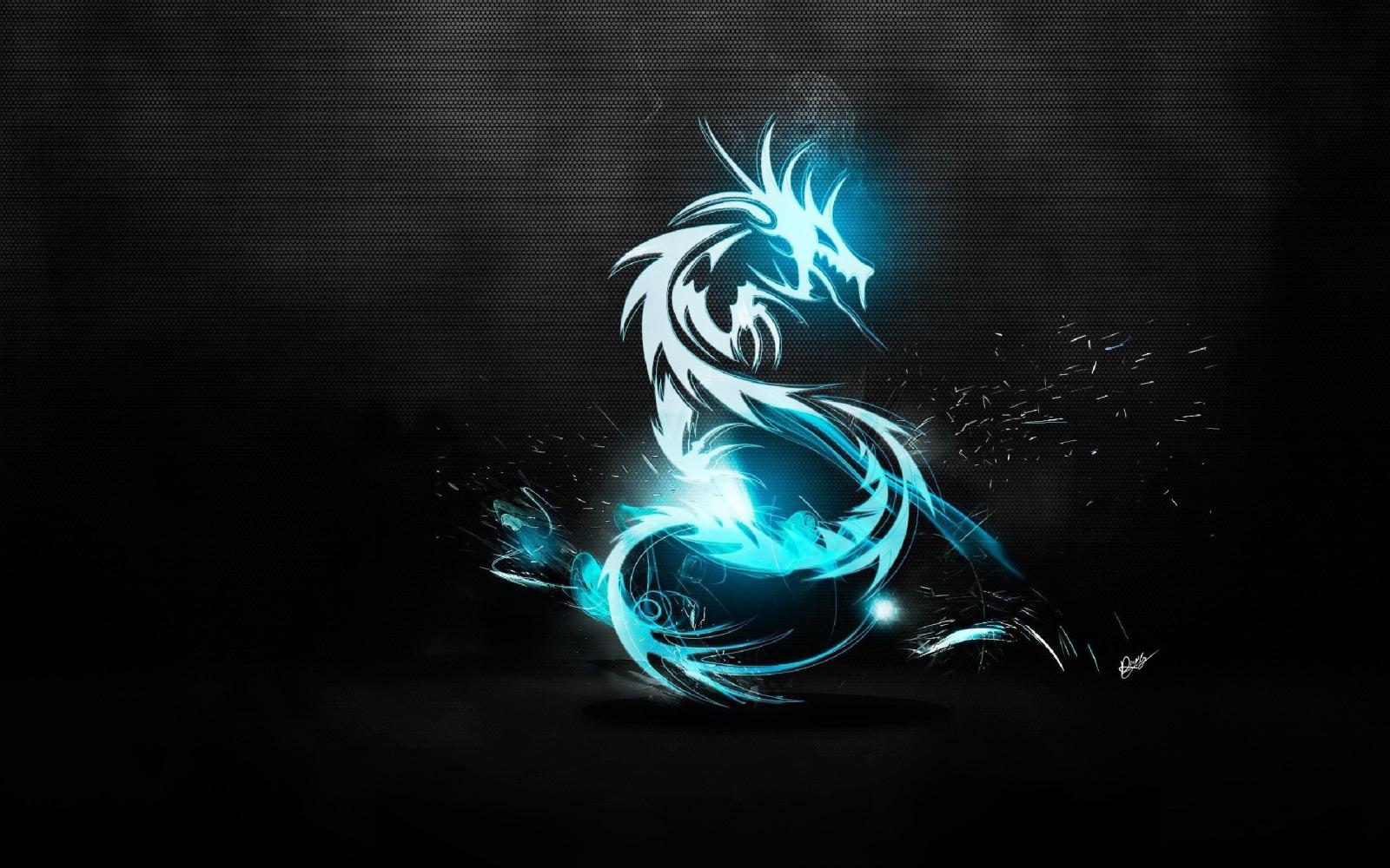 2560x1600 10+ Kali Linux HD Wallpapers and Backgrounds
