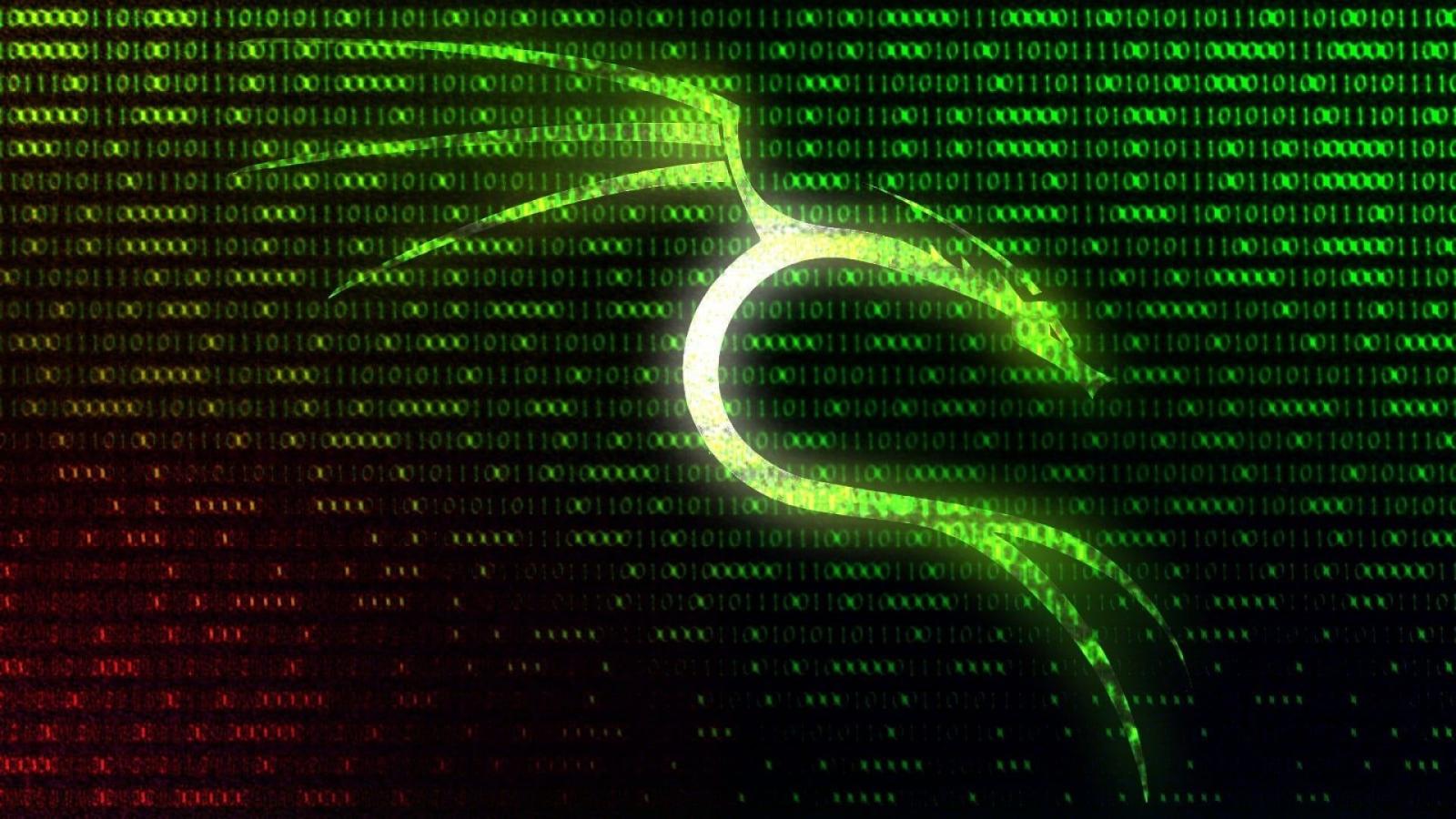 1920x1080 matrix digital wallpaper Kali Linux Kali Linux NetHunter #Linux #1080P # wallpaper #hdwallpaper #desktop | Kali linux hacks, Linux, Technology  wallpaper