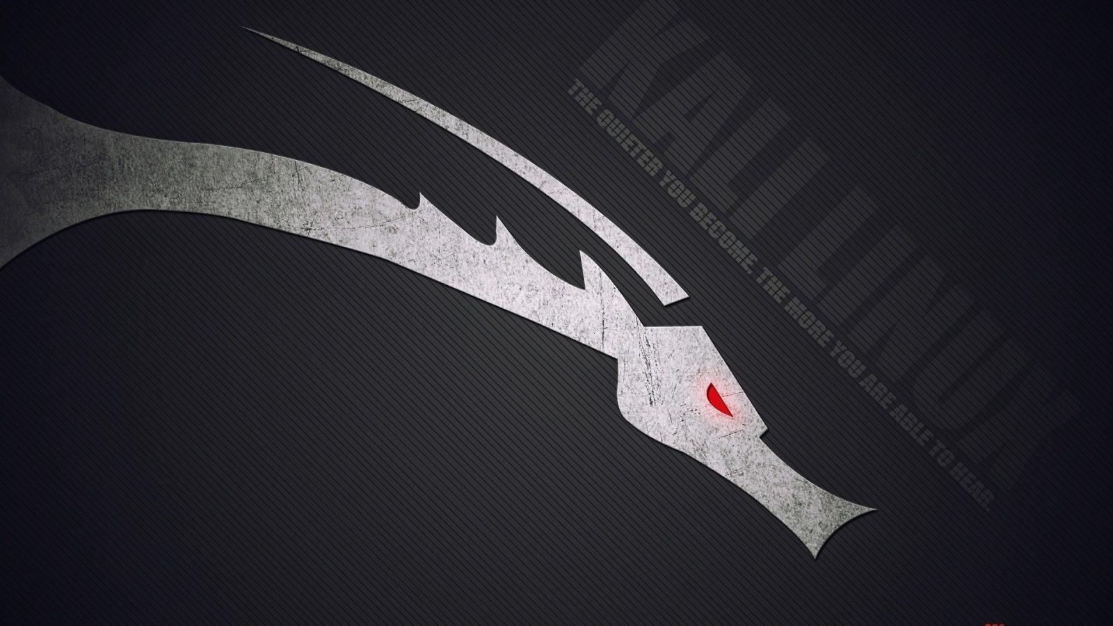 1920x1080 10+ Kali Linux HD Wallpapers and Backgrounds