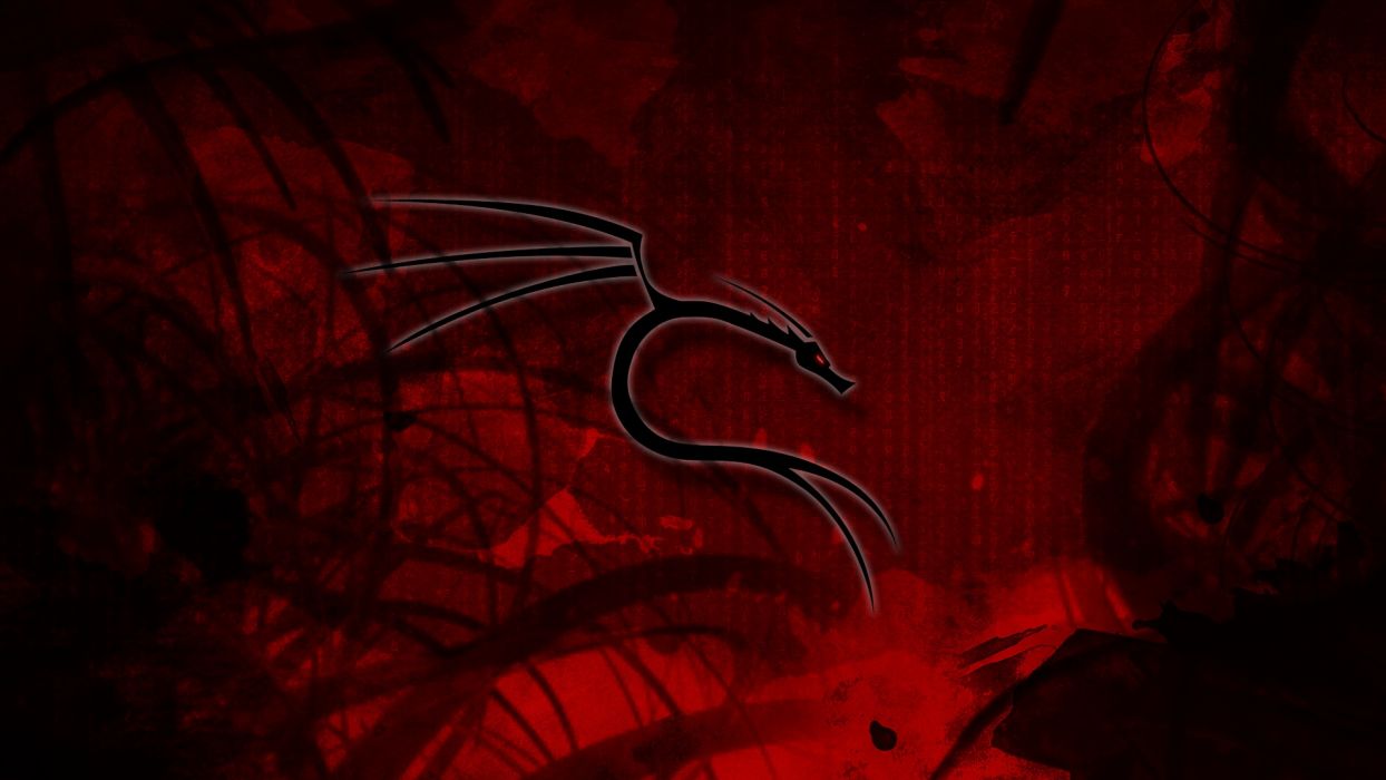 1244x700 Kali wallpaper 1920x1080 wallpaper | 1920x1080 | 1077431 | WallpaperUP