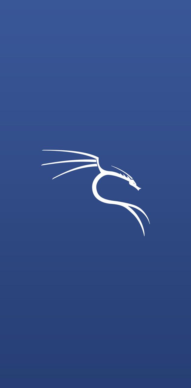 630x1280 Kali Linux wallpaper by s3ria1 - Download on ZEDGE™ | cd7b