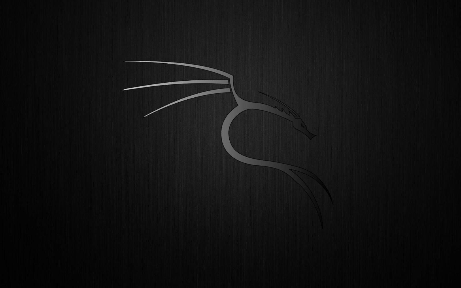1920x1200 Download Kali Linux Wallpaper