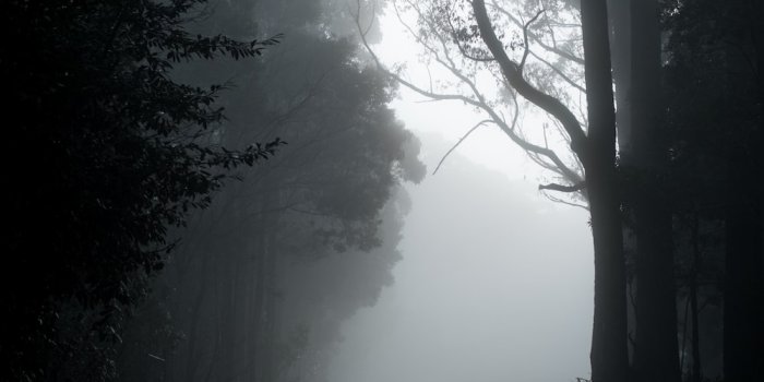 1000x1500 Dark Wallpapers: Free HD Download [500+ HQ] | Unsplash