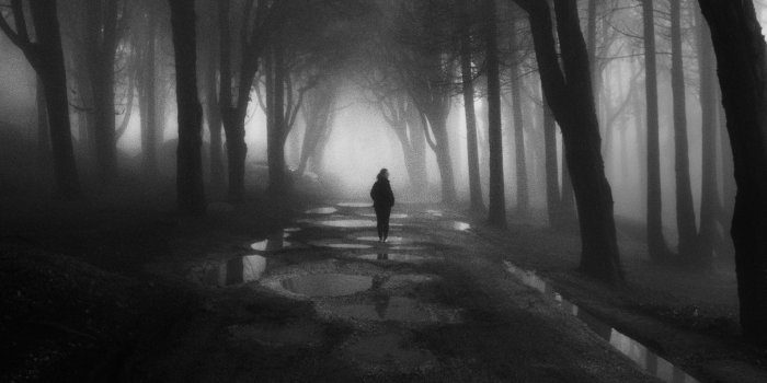 2147x3227 60,000+ Best Dark Wallpapers · 100% Free Download · Pexels · Free Stock  Photos