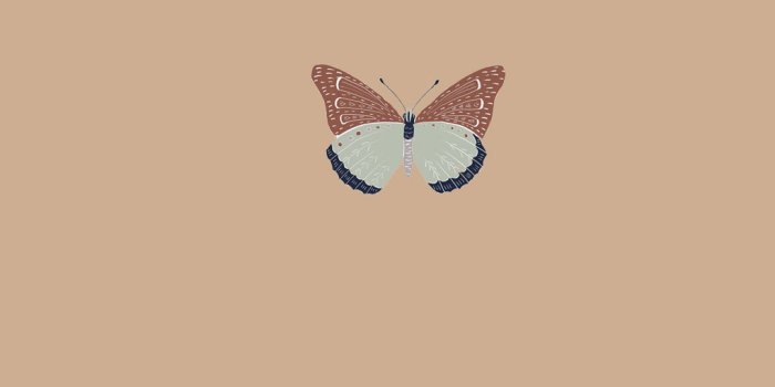 1020x1915 30 Cute Brown Aesthetic Wallpapers for Phone : Vintage Butterfly I Take You  | Wedding Readings | Wedding Ideas | Wedding Dresses | Wedding Theme