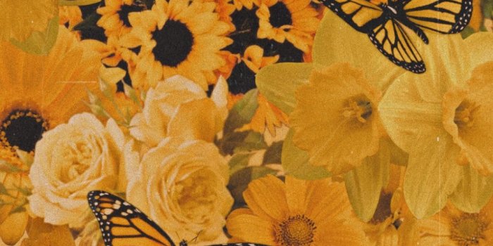 980x1744 Cute aesthetic collage wallpapers for iphone and android ⋆ Aesthetic Design  Shop