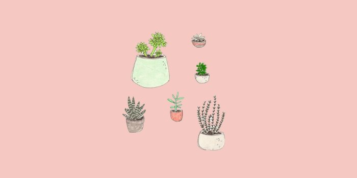 1920x1080 Download Cute Aesthetic Potted Plants Wallpaper | Wallpapers.com