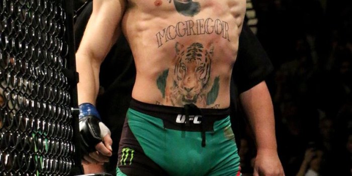 828x1792 Best Conor mcgregor iPhone 11 HD Wallpapers - iLikeWallpaper