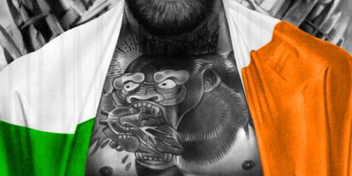 1080x1920 Conor McGregor Wallpaper - iXpap