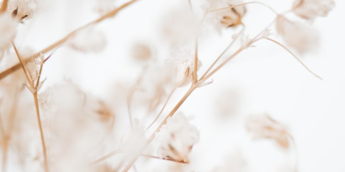 1000x1501 CREAM BACKGROUND | 19 best free background, wallpaper, beige and texture  photos on Unsplash