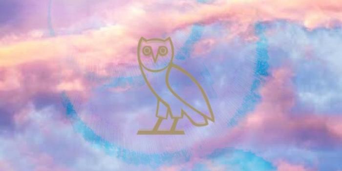 828x1472 Drizzy | Ovo wallpaper, Iphone wallpaper photos, Drake iphone wallpaper