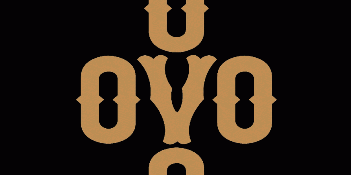 892x1609 Drake OVO Wallpapers - Top Free Drake OVO Backgrounds - WallpaperAccess