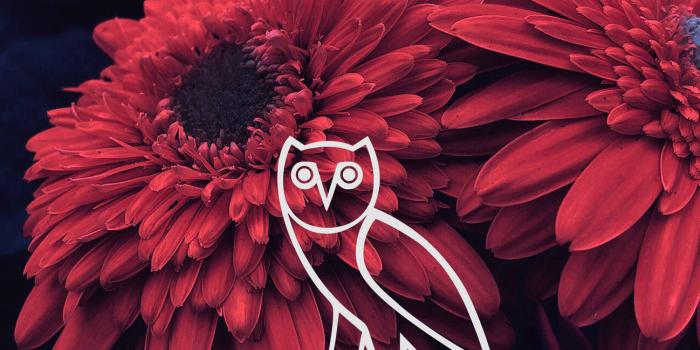 1298x2308 Download Drake Aesthetic Ovo Wallpaper | Wallpapers.com