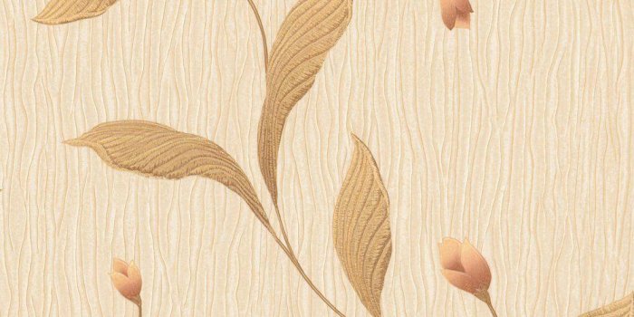 1000x1000 Cream Colored Wallpapers