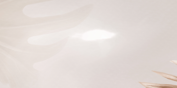 800x1422 Beige Cream Background Aesthetic Images | Free Photos, PNG Stickers,  Wallpapers & Backgrounds - rawpixel