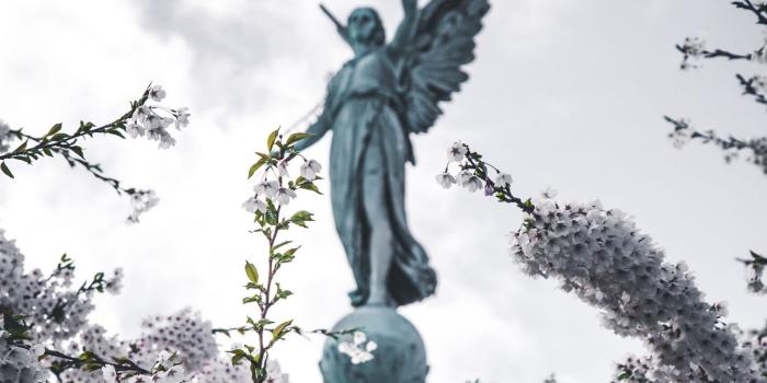 1350x2400 Download wallpaper 1350x2400 sakura, statue, angel, flowers, bloom,  branches iphone 8+/7+/6s+/6+ for parallax hd background