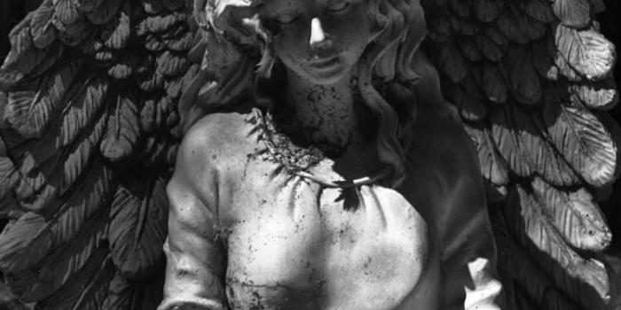748x1122 Fred Higgins, 500px, Statue, Monochrome, Angel, Wings Wallpapers HD /  Desktop and Mobile Backgrounds