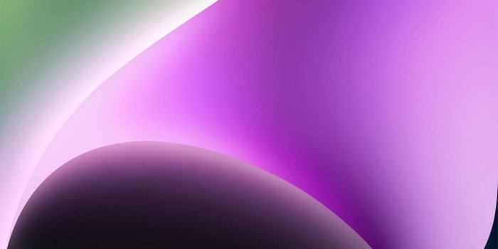 1290x2796 iPhone 14 and 14 Pro wallpapers: how to download to your mobile - Crast.net
