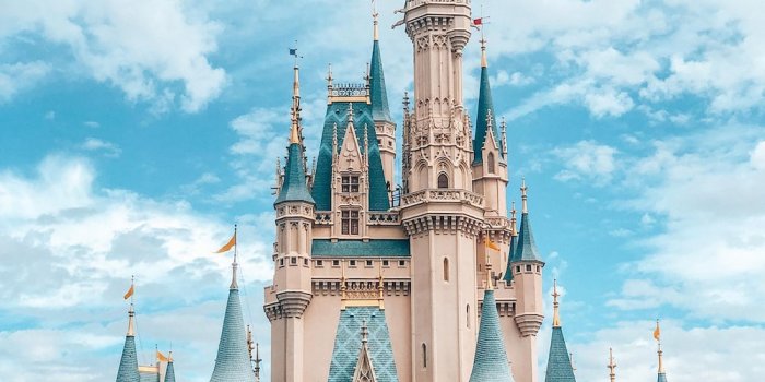 1000x1250 Cinderella Castle Pictures | Download Free Images on Unsplash