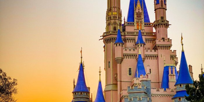 1920x2560 15 Stunning Disney World Wallpapers to Bring the Magic to Your Phone -  AllEars.Net