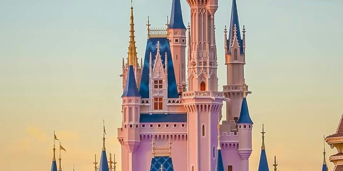 960x1440 Disney Castle 2021 Wallpapers