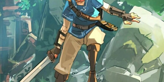 736x1443 BoTW Link Wallpapers