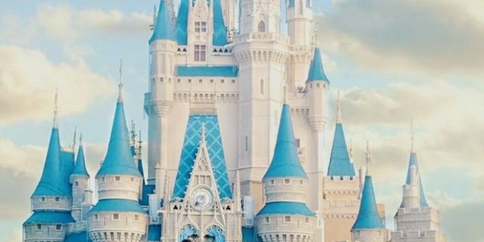 722x1280 Disney Castle Wallpaper | Disney world castle, Disney world pictures, Disney  paintings