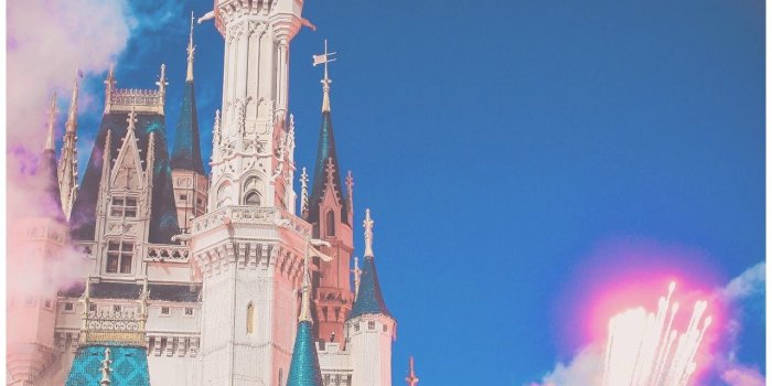 1280x1920 Disney World Cinderella Castle Wallpapers