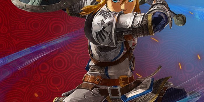 1440x2960 Hyrule Warriors: Age of Calamity - Link Wallpaper - Cat with Monocle