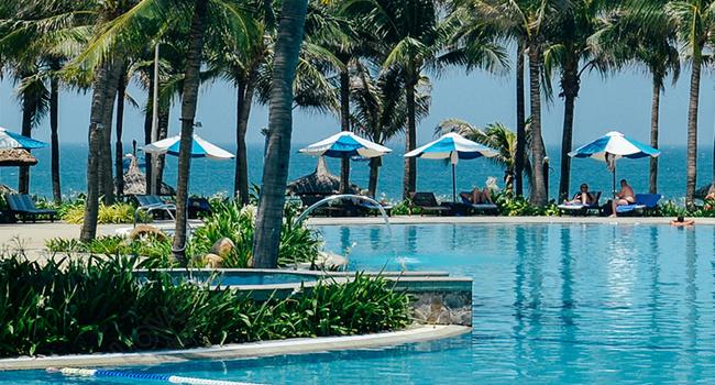 650x1407 Swimming Pool Wallpaper Wallpaper Images Free Download on Lovepik |  400243480