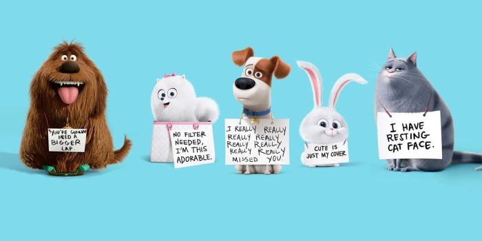 1280x720 Secret Life Of Pets Desktop Background Images and Wallpapers – YL Computing