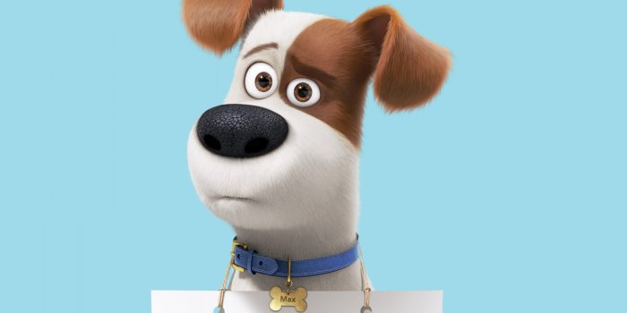 1920x1200 2048x1152 Max In The Secret Life Of Pets 2048x1152 Resolution HD 4k  Wallpapers, Images, Backgrounds, Photos and Pictures