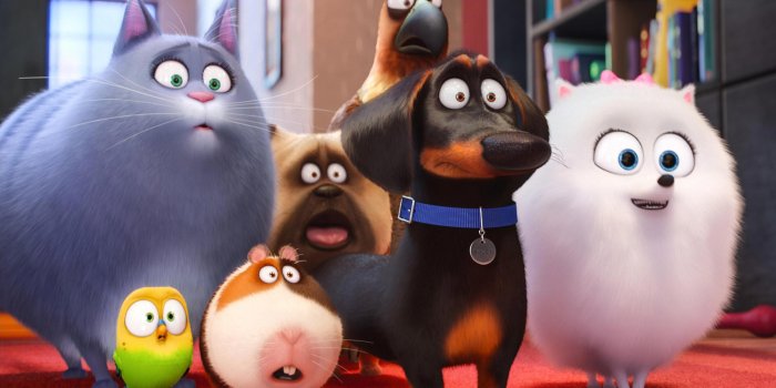 3106x1941 Pets 2 Wallpapers