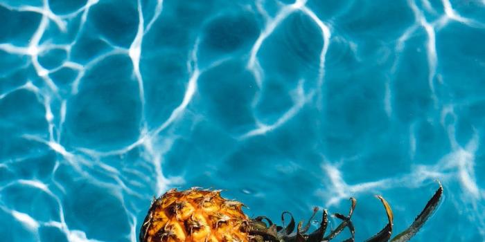 1080x1920 Pineapple Wallpapers - Top 25 Best Pineapple Backgrounds Download