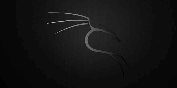 1920x1200 Download Kali Linux Wallpapers (Free) - Grepitout