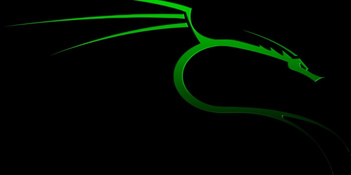 1080x1920 1080x1920 Kali Linux Nethunter 5k Iphone 7,6s,6 Plus, Pixel xl ,One Plus  3,3t,5 HD 4k Wallpapers, Images, Backgrounds, Photos and Pictures