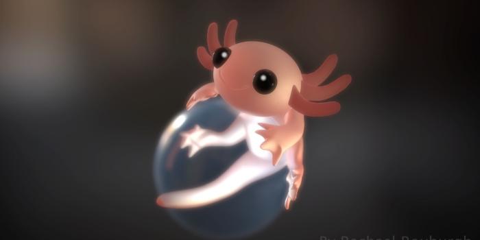 1920x1080 Axolotl Wallpapers | Cute animal drawings, Axolotl cute,  Cute little animals