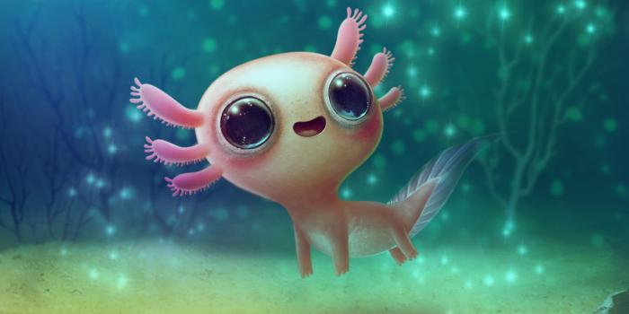 2536x1920 Axolotl HD Wallpapers and Backgrounds