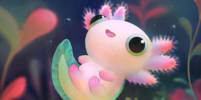 750x1050 Baby Axolotl Wallpapers