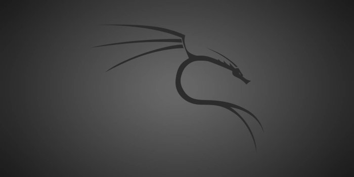 1600x900 Download Kali Linux Wallpaper