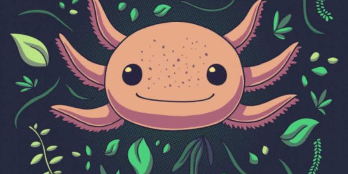 1200x1724 Axolotl Wallpaper - NawPic