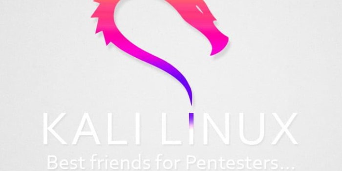 1350x2400 Wallpaper Kali Linux, Computer, Simple, Typography, Logo • Wallpaper For You